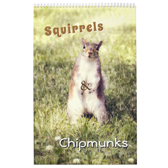 Cute Squirrels and Chipmunks Funny Animal Photos Kalender (Omslag)