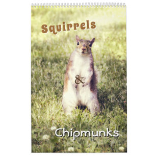 Cute Squirrels och Chipmunks Funny Animal Photos Kalender