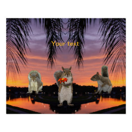 Cute Squirrels vid Tropical sunset Perfect Poster
