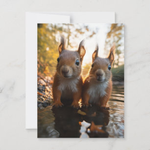 Cute Squirrels Vykort
