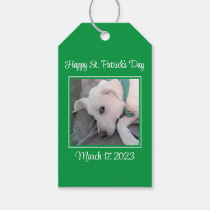 Cute St. Patrick Day Grönt Lazy Hund Presentetikett