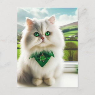 Cute St. Patricks Day Cat Fluffy White Cat Vykort