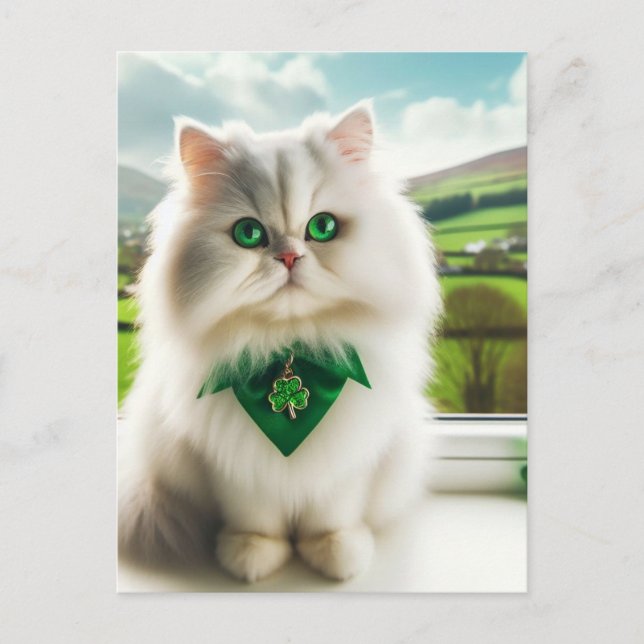 Cute St. Patricks Day Cat Fluffy White Cat Vykort (Framsida)
