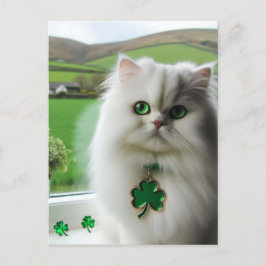Cute St. Patricks Day Cat Vykort