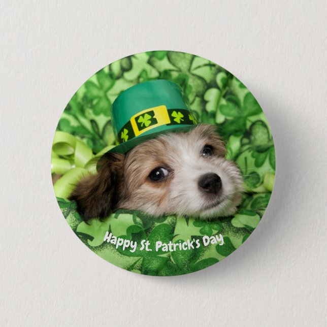 Cute St. Patrick's Day Puppy  Knapp (Framsida)