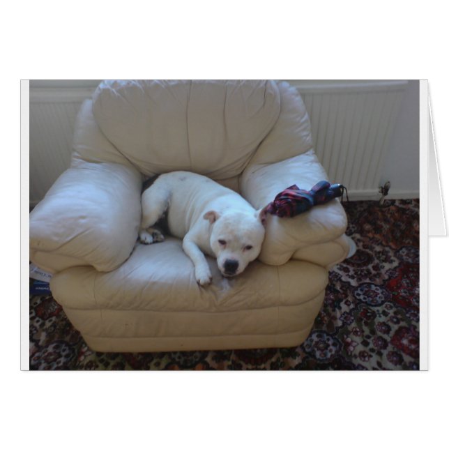 Cute staffie hälsningskort (Framsidan Horizontal)