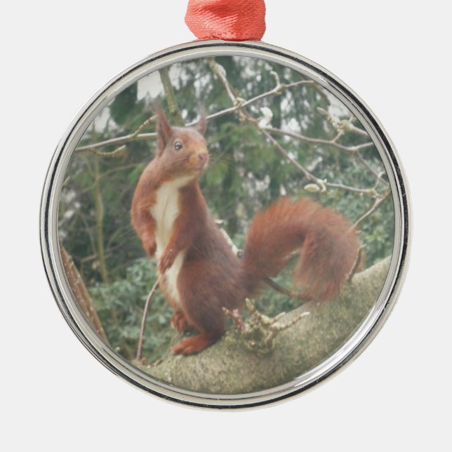 Cute Standing Squirrel Metal Ornament (Framsidan)