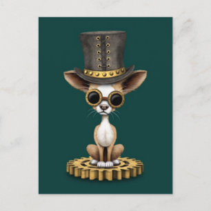 Cute Steampunk Chihuahua Puppy Hund, teal Vykort
