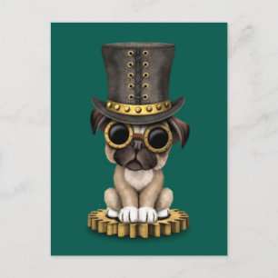 Cute Steampunk Pug Puppy Hund, teal Vykort