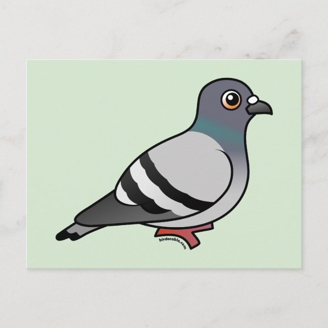 Cute Sten Pigeon Vykort (Framsida)