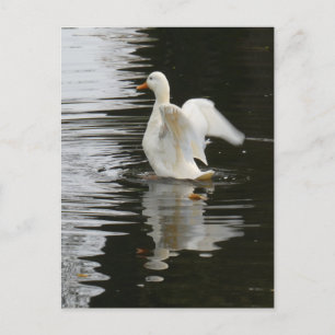 Cute Stigning Anka DIY-vykort Vykort