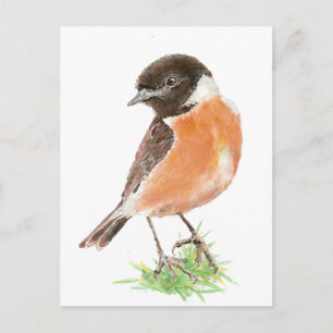 Cute Stonechat, Watercolor Bird Collection Vykort