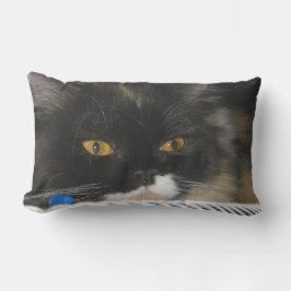 Cute Studating Cat Kudde