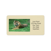 Cute Sumatran Tiger i Grass Avery-etikett