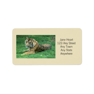 Cute Sumatran Tiger i Grass Avery-etikett Adressetikett