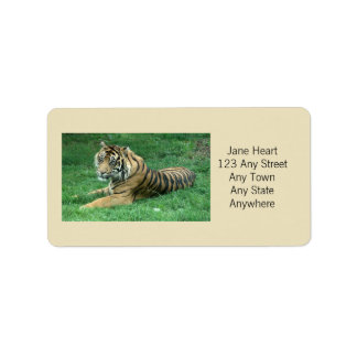 Cute Sumatran Tiger i Grass Avery-etikett Adressetikett