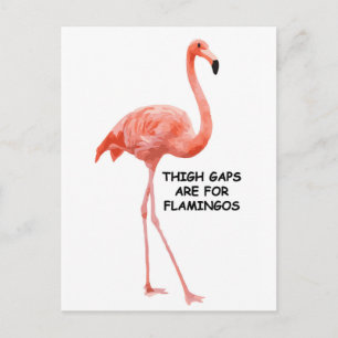 Cute Summer Inspirational Rosa Flamingo Vykort