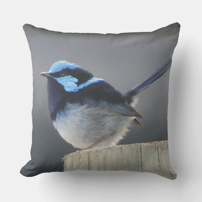 Cute Superb Fairywren Cushion Kudde (Framsida)