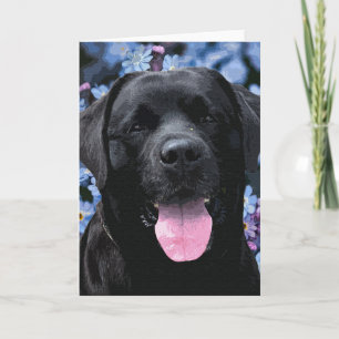 Cute Svart lab Labrador Retricher Hund Kort