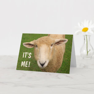 Cute Sweet Sheep Birthday Card Kort