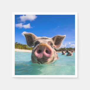 Cute Swimming Gris Exuma Bahamas Pappersservett