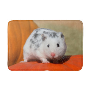 Cute Syrian Hamster White Black Pet Badrumsmatta