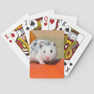 Cute Syrian Hamster White Black Pet Casinokort