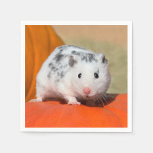 Cute Syrian Hamster White Black Pet Pappersservett