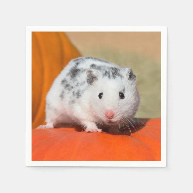 Cute Syrian Hamster White Black Spoted Funny Pet Pappersservett (Framsidan)