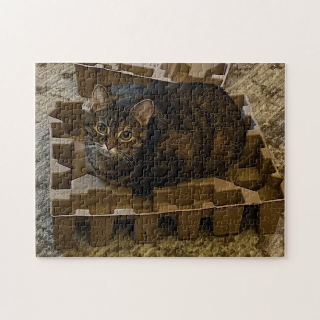 Cute Tabby Cat in Vacuum Insert Box Puzzle Pussel (Horisontell)