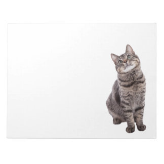 Cute Tabby katt Anteckningsblock