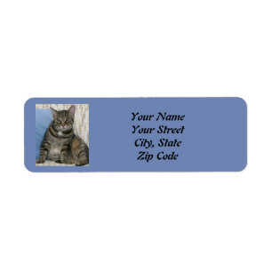 Cute Tabby katt Blue Returadress Etikett