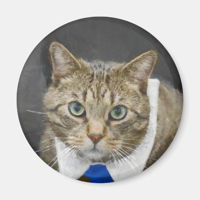 Cute Tabby katt Brown Grått Blue Tie Pet Magnet (Framsidan)