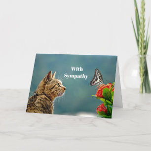 Cute Tabby katt Butterfly Fotosympati Kort