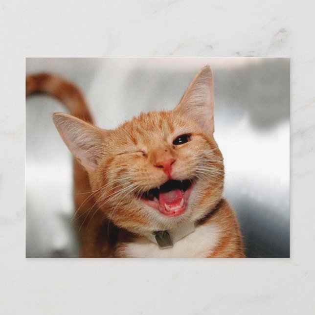 Cute tabby katt gråtande med ett öga vykort (Framsida)