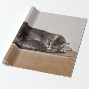 Cute Tabby katt-Grått som säljs i lådan Presentpapper
