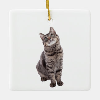 Cute Tabby katt Julgransprydnad Keramik