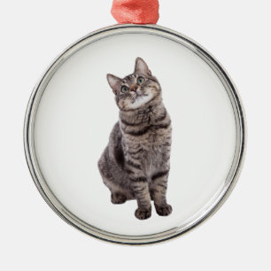 Cute Tabby katt Julgransprydnad Metall