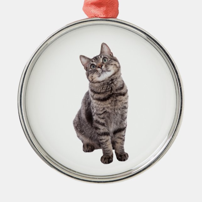 Cute Tabby katt Julgransprydnad Metall (Framsidan)