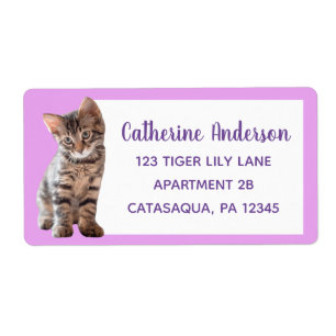 Cute Tabby katt Kitten Lavender Large Fraktsedel