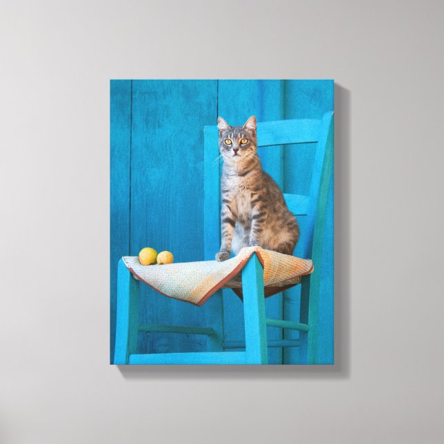 Cute Tabby katt Kitten på ett blått stolsfoto Canvastryck (Framsida)