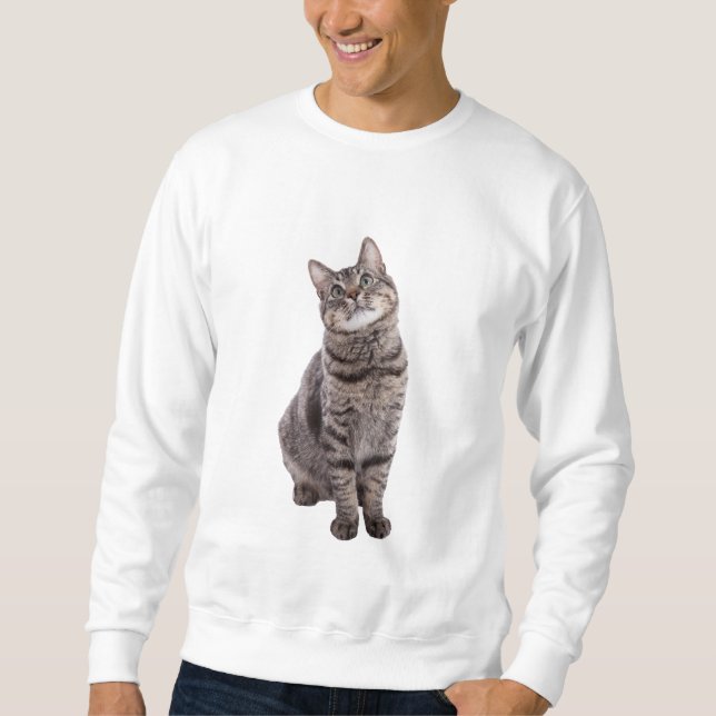 Cute Tabby katt Lång Ärmad Tröja (Framsida)