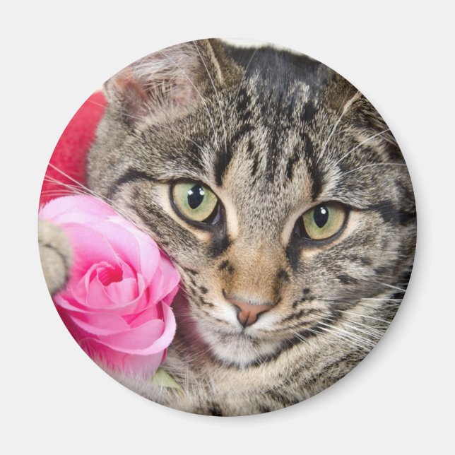 Cute Tabby katt med Ro Magnet (Framsidan)