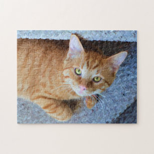 Cute Tabby katt Orange Grönt Ögon Trendig Pussel