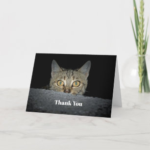 Cute Tabby katt Peeking Photo Tack Kort