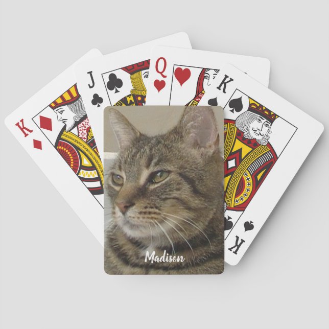 Cute Tabby katt Photo Namn Casinokort (Baksidan)