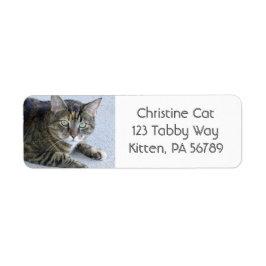 Cute Tabby katt Photo Returadress Etikett