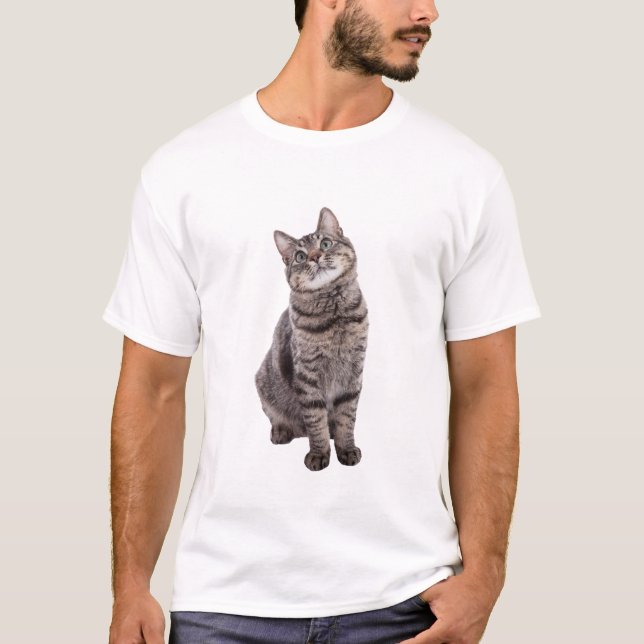 Cute Tabby katt T Shirt (Framsida)