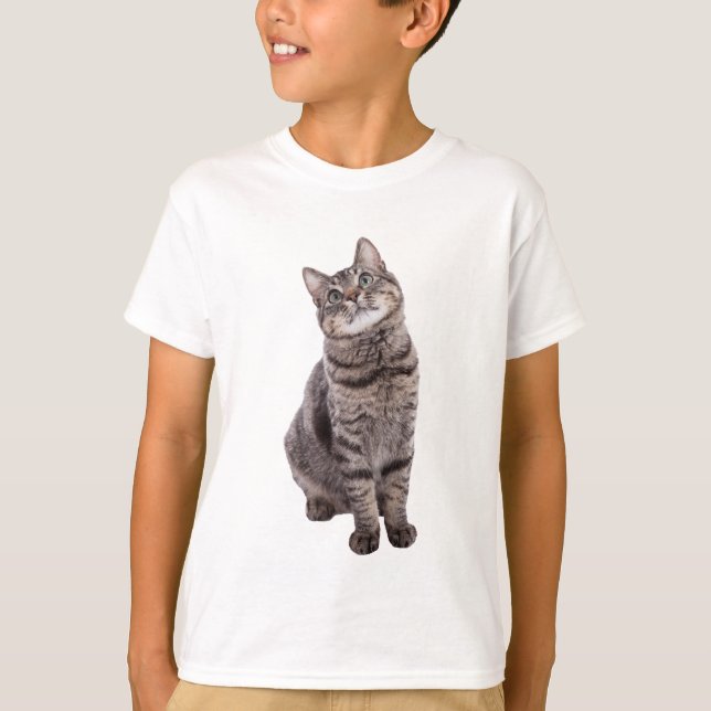 Cute Tabby katt T Shirt (Framsida)