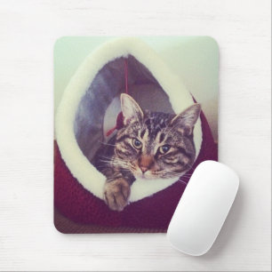 Cute Tabby Kattunge i Hut Photo 70s Filtereffekt Musmatta
